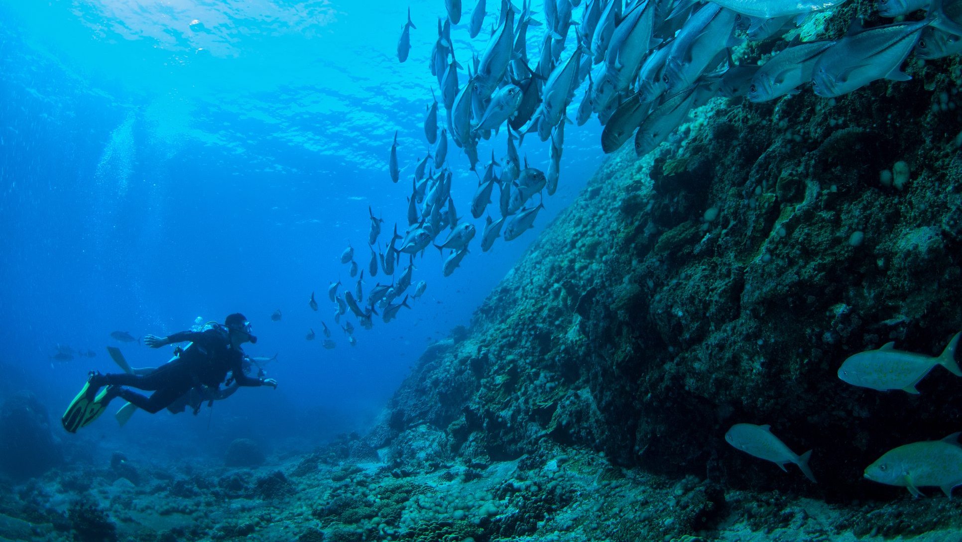 Filipinas fue premiado como el Destino de Buceo Sostenible del año