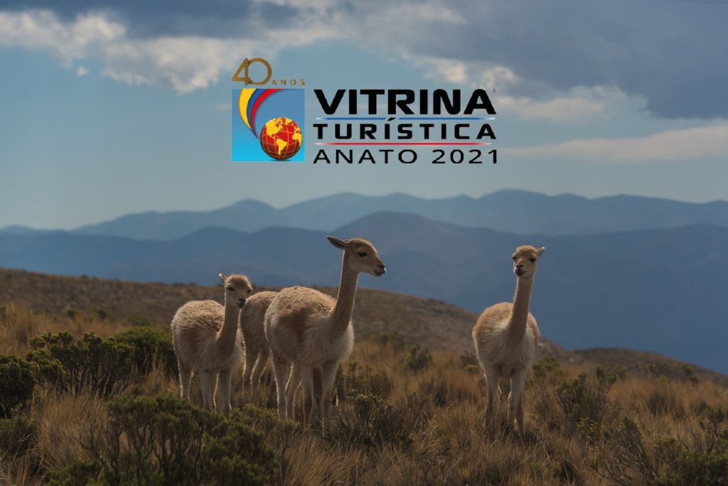 Colombia: ANATO se apoya en tecnología para tener una edición 2021 organizada