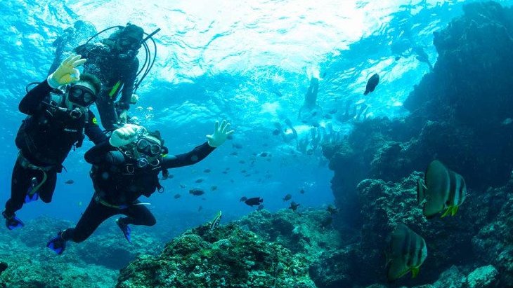 Crearán un circuito de Buceo en Argentina