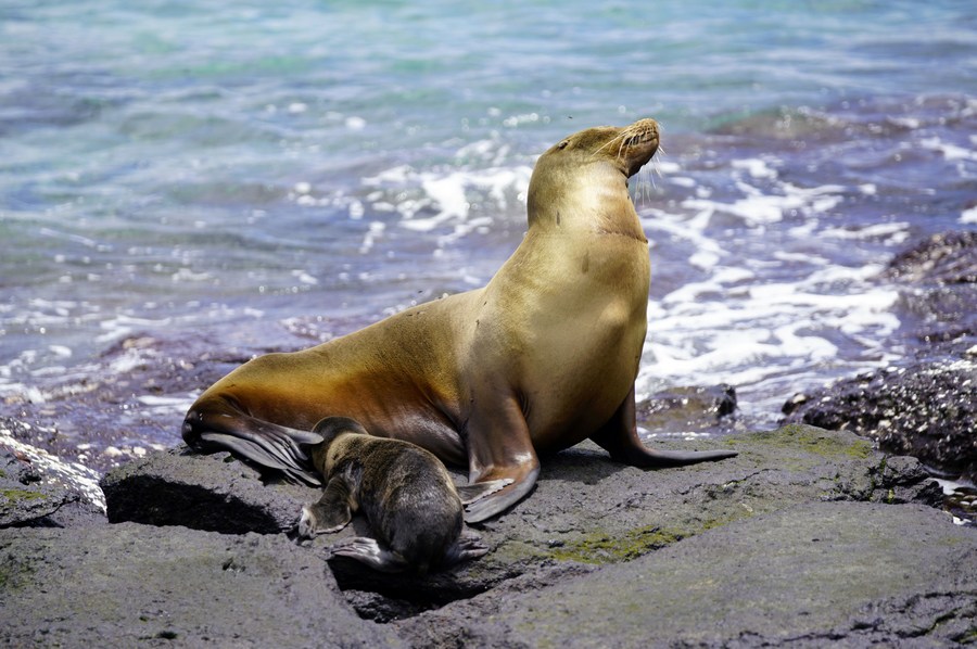 China se encuentra entre los 10 países emisores de turistas a Ecuador