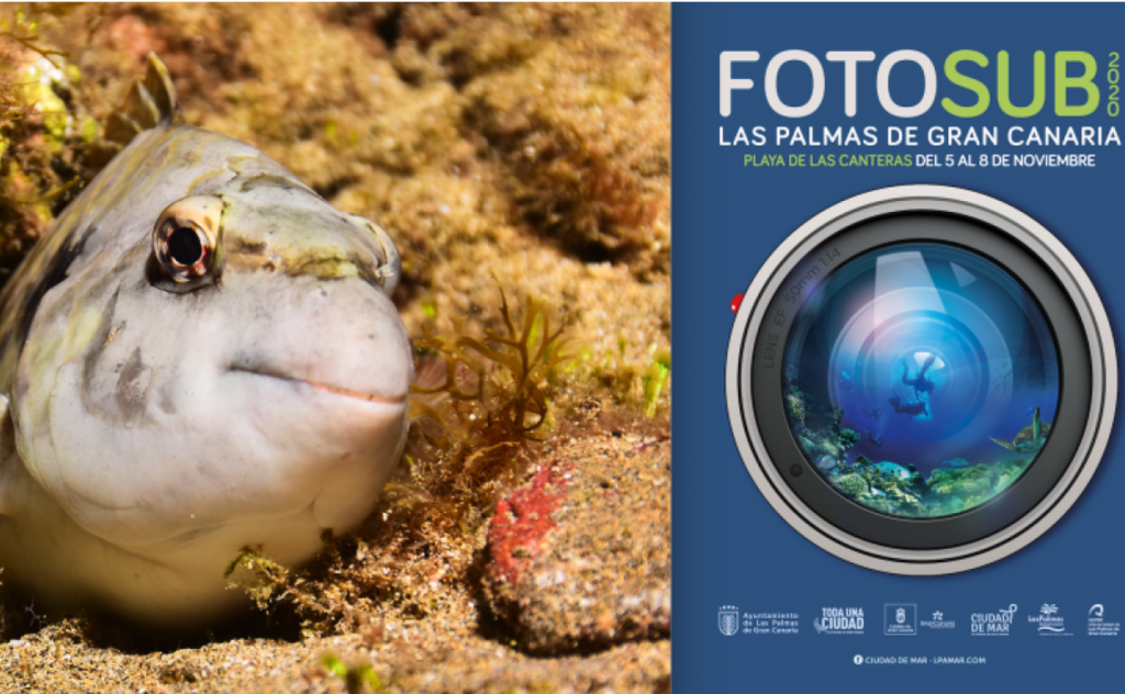 Llega el evento de fotografía submarina a Las Palmas de Gran Canaria