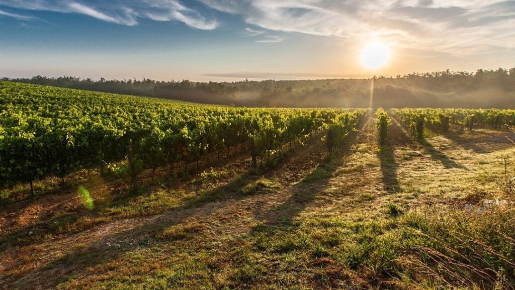 La Ruta del Vino de Rueda promociona sus actividades para Semana Santa