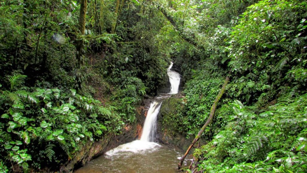 Costa Rica, un destino sostenible para los amantes de la naturaleza