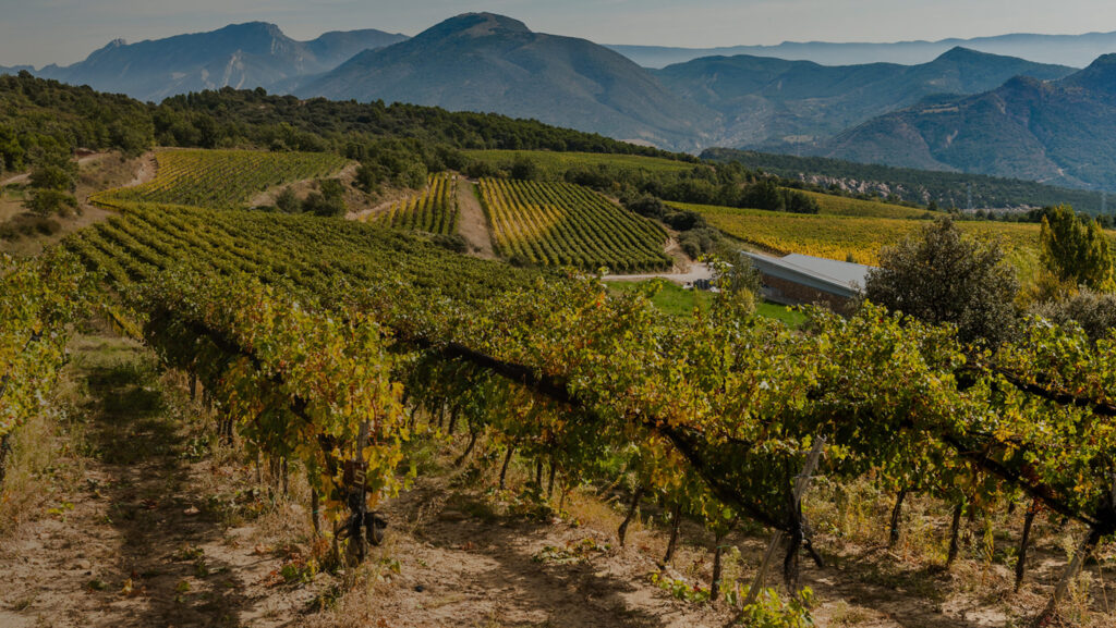 La Ruta del Vino de Lleida lanza su novedosa web para mejorar las experiencias enoturísticas