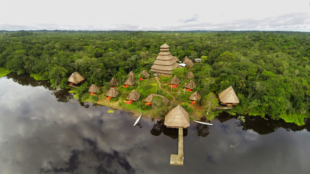 Descubre el corazón verde del mundo en la Amazonía ecuatoriana