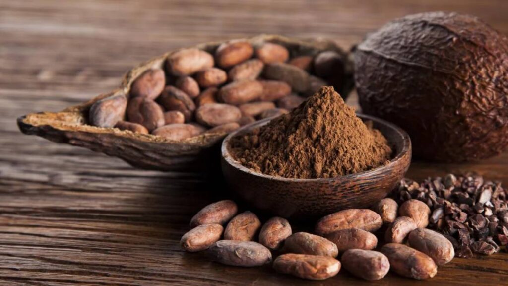 México: el cacao como patrimonio cultural y económico en Tabasco