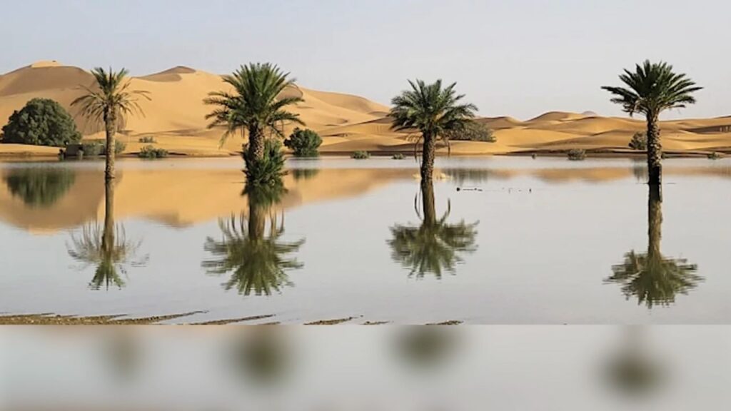 Lluvias inundan el desierto del Sahara por primera vez en más de 50 años