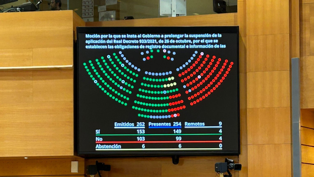 España: el Senado rechaza el registro de datos de viajeros por «imposible cumplimiento»