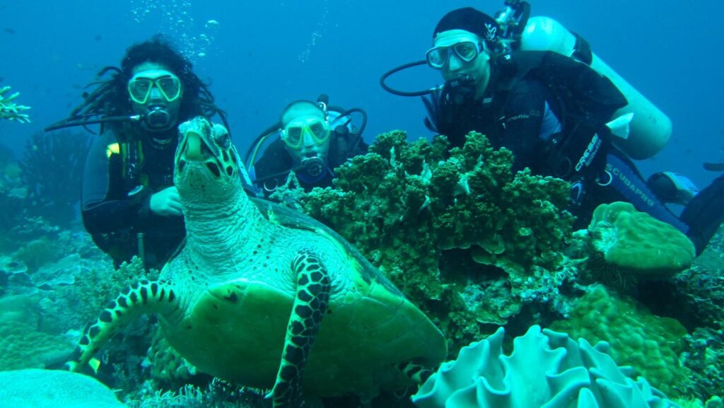 Científicos estudian el impacto del turismo de buceo en la biodiversidad de las Islas Galápagos