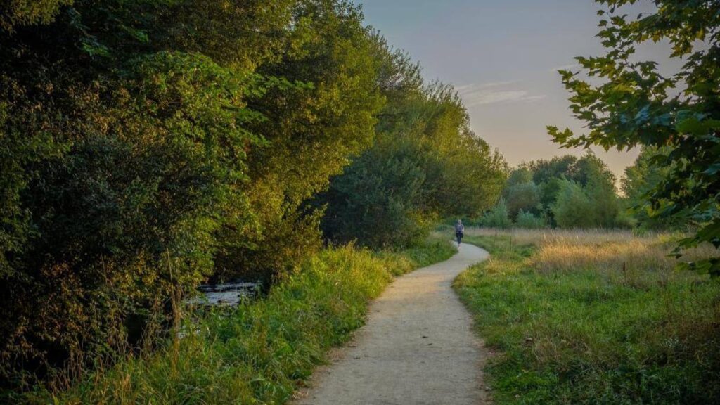 «Solo Huellas»: una llamada a la responsabilidad ambiental en los senderos naturales