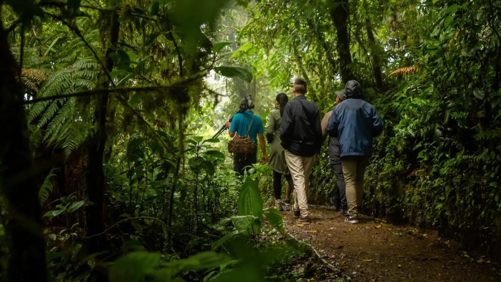 Costa Rica: turismo sostenible entre la conservación y los retos del desarrollo