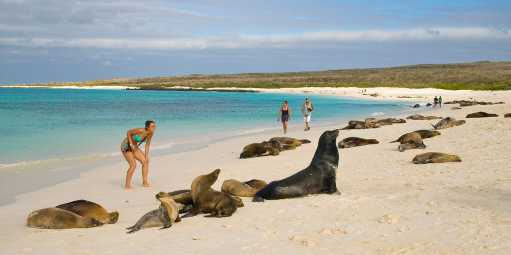 Galápagos lidera en Ecuador el avance hacia el turismo sostenible con Destinos Turísticos Inteligentes