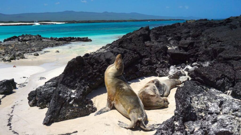 Buscan consolidar las islas Galápagos como Destinos Turísticos Inteligentes