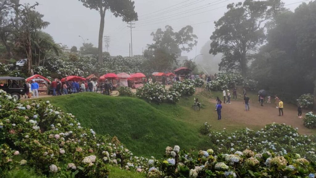 La Colonia Tovar: un destino pionero en el Turismo de Romance