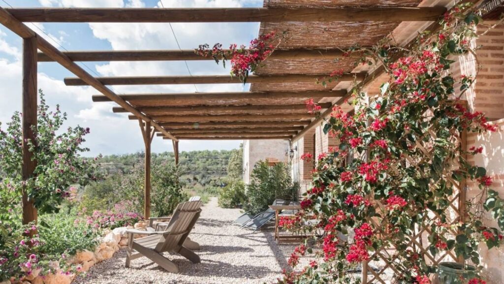 Airbnb resalta el impacto del oleoturismo en las zonas rurales de España