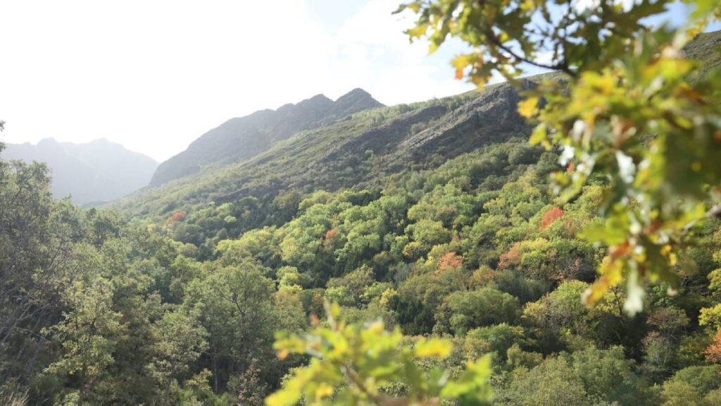 Trevinca-Valdeorras impulsa 21 ecoexperiencias para un turismo sostenible
