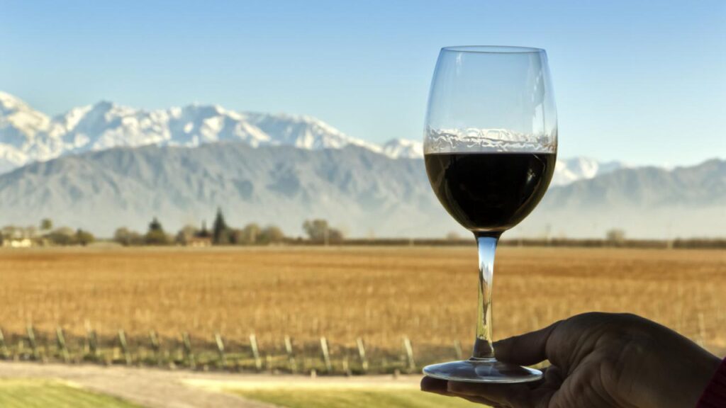 Mendoza reafirma su liderazgo como capital internacional del vino
