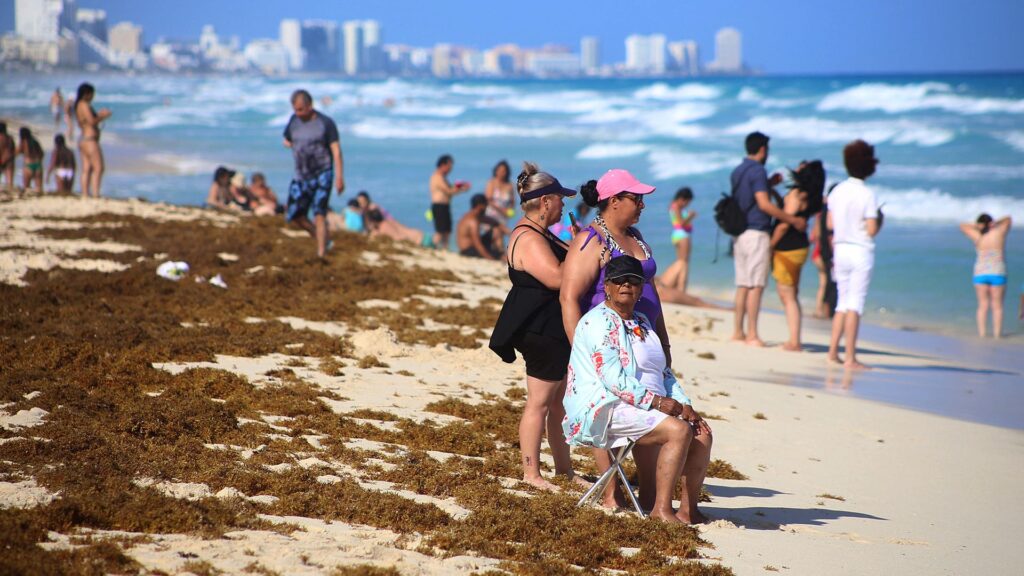 Cancún: reportan leves cancelaciones por sargazo pero esperan alta ocupación en verano