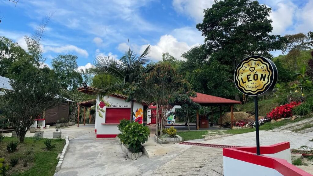 Café Corazón de León: la experiencia que celebra el Mes del Café en Colombia