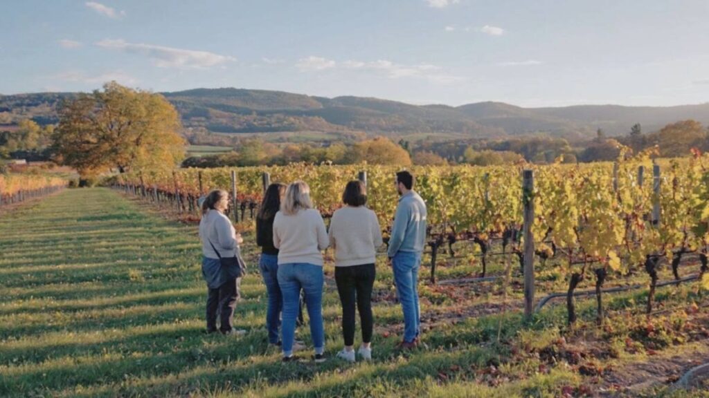 El enoturismo español conquista al 65% de los turistas extranjeros