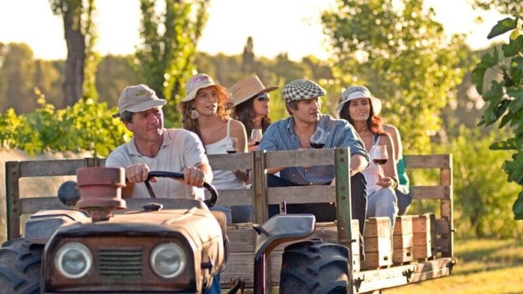 Argentina: Córdoba se consolida como el epicentro del enoturismo argentino