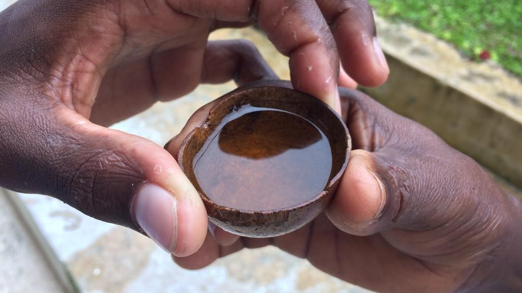 El viche, la bebida ancestral del Pacífico colombiano que busca conquistar a los turistas