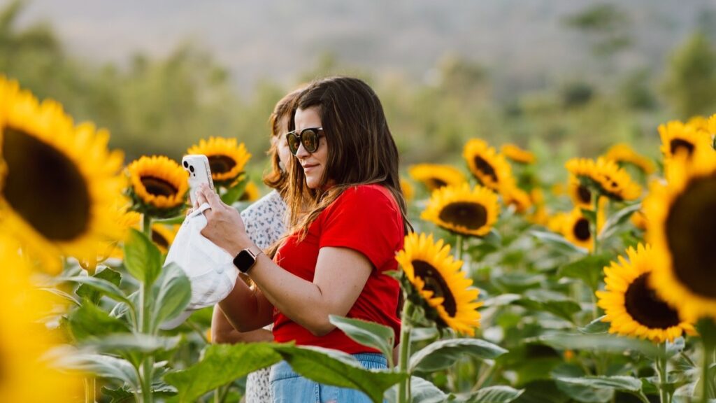 El Paseo de los Girasoles: de la adversidad a un nuevo atractivo turístico en Copán Ruinas