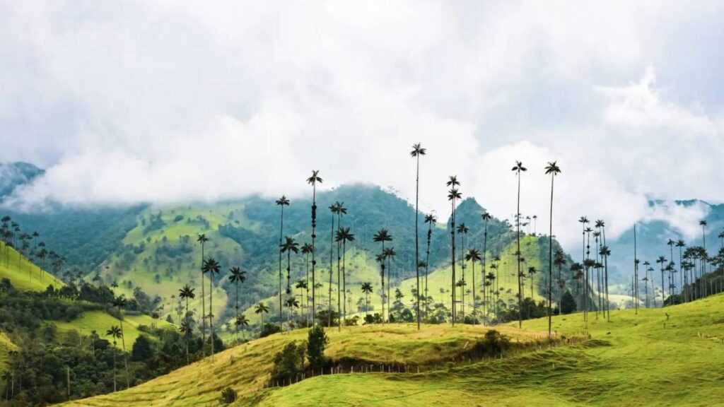 Ruta del café en Costa Rica: un viaje al corazón de su identidad