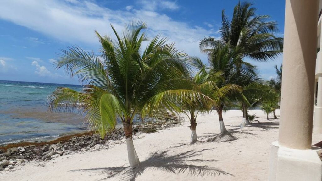 Paamul Travel apuesta al conocimiento profundo y la atención personalizada en América Latina