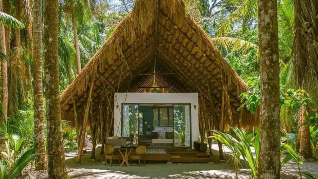 Chiriquí y Uvita, entre los destinos imperdibles de Centroamérica para 2026