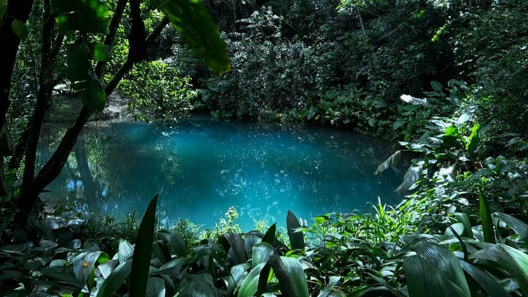Bioparque Paradise: la reserva natural de Honduras que protege la Poza Azul