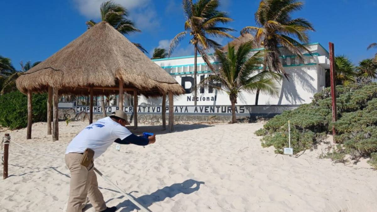 Fundación Eco-Bahía consolida uno de los programas de conservación más sólidos de México