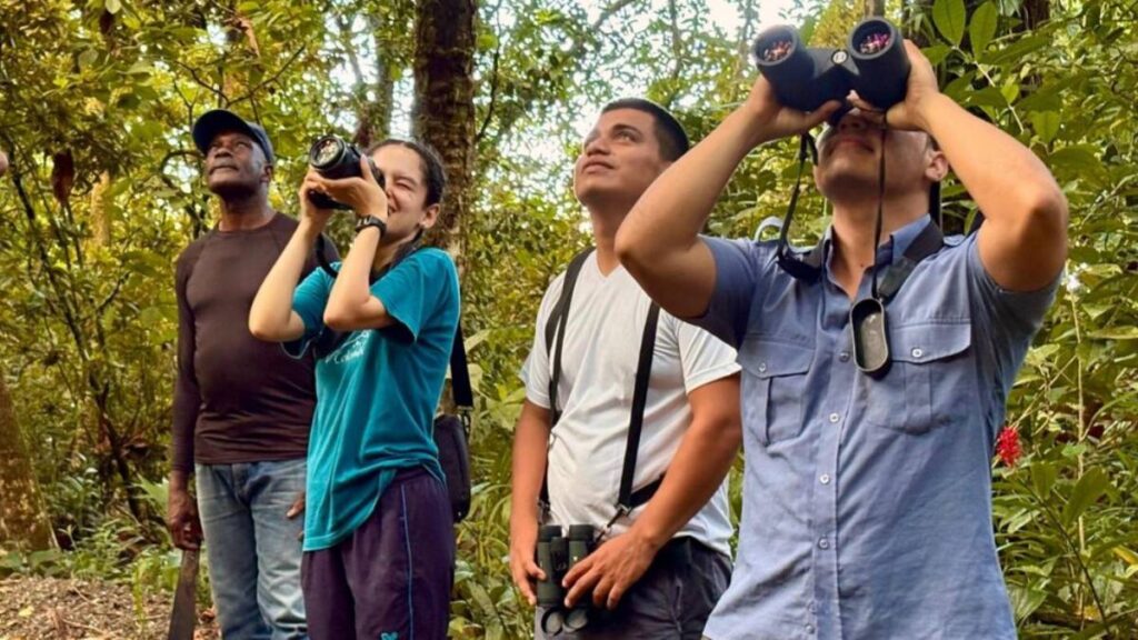 Eje Cafetero: el paraíso del avistamiento de aves que posiciona a Colombia en el mapa mundial