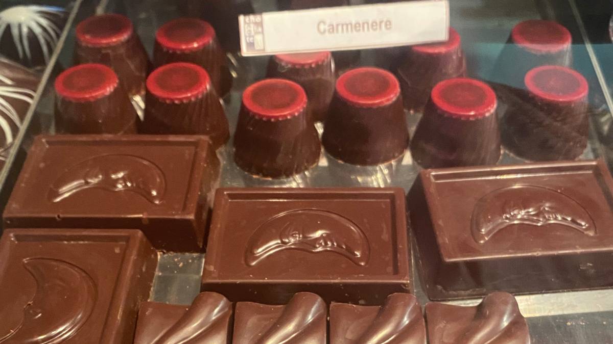 Chocolatería “Valle del Maipo”: sabores que encantan