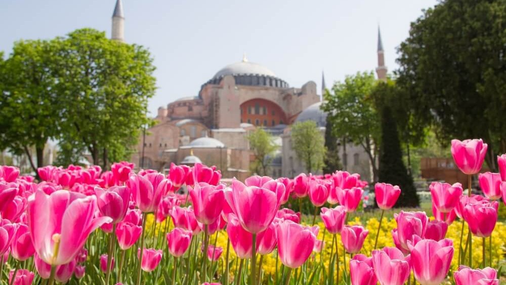 Estambul florece: el Festival de los Tulipanes convierte la ciudad en un espectáculo único