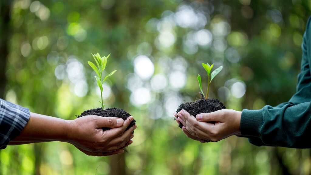 Turismo regenerativo: una tendencia en crecimiento que busca restaurar destinos