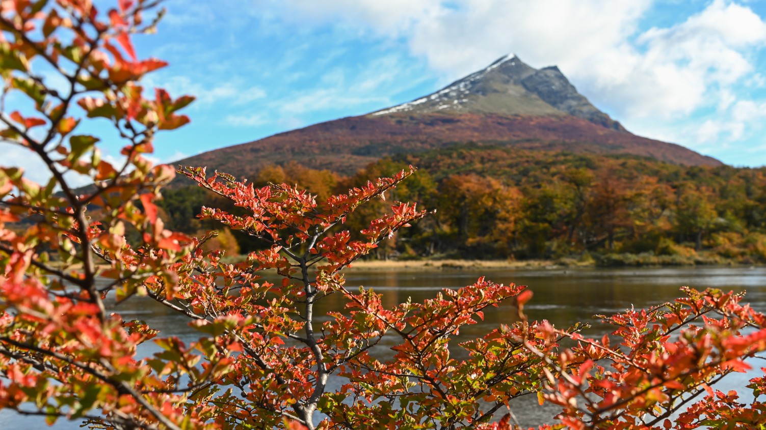Turismo en otoño: cinco Parques Nacionales ideales para disfrutar la naturaleza en Argentina