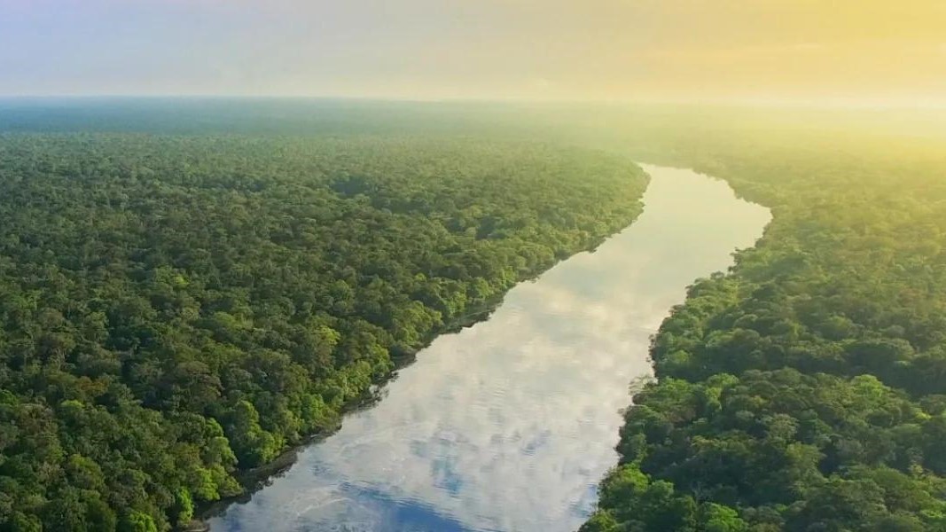 Las cinco curiosidades del Amazonas, el río más impresionante del planeta