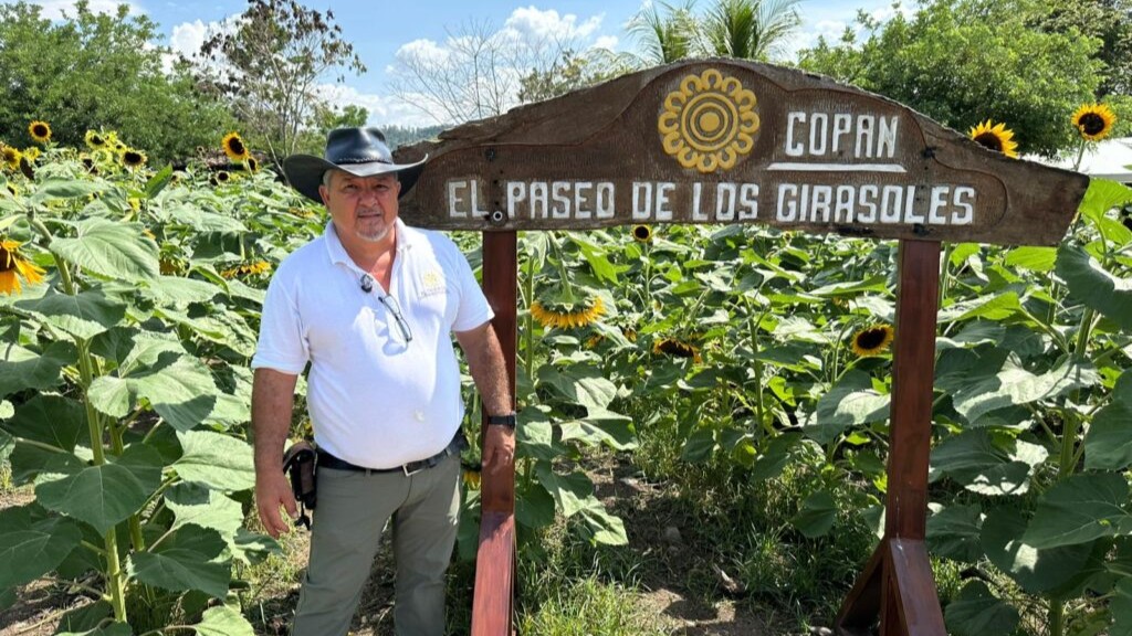 El Paseo de Los Girasoles: naturaleza, sostenibilidad y turismo rural florecen en Copán Ruinas