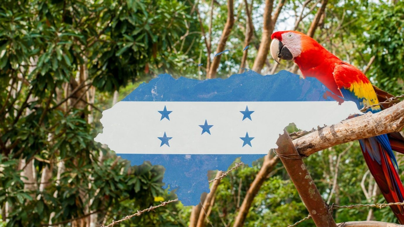 Canaturh destaca el potencial turístico de Honduras