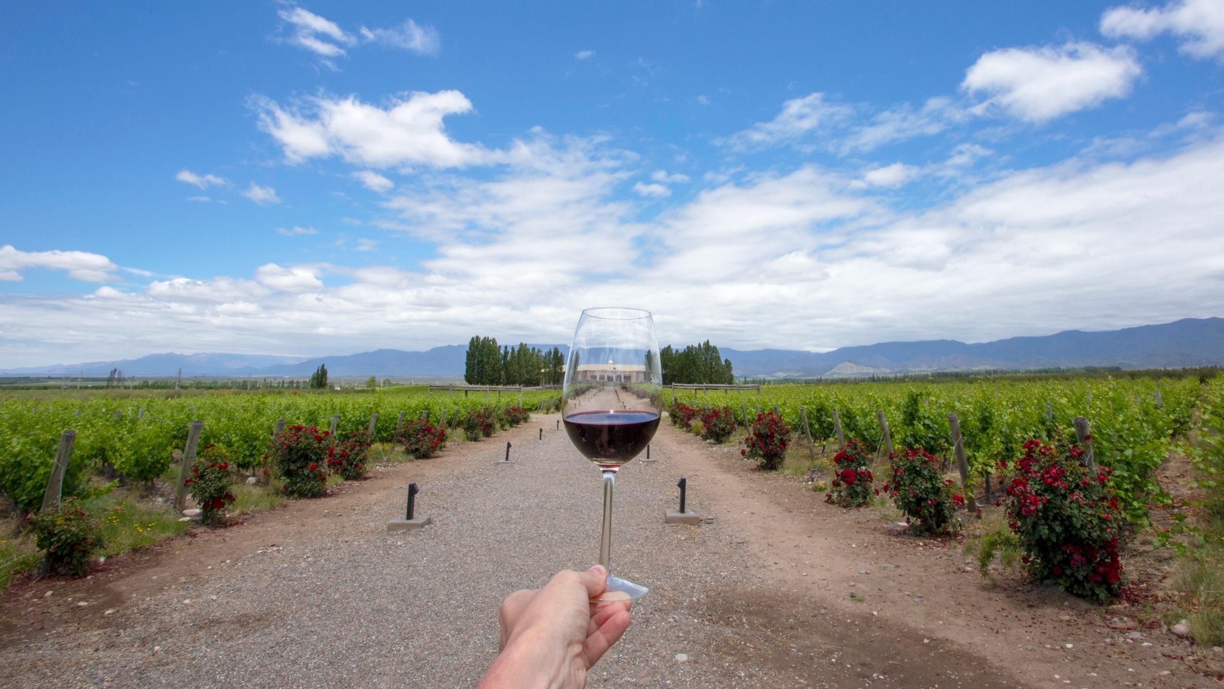 Argentina: Mendoza redefine el turismo de alta gama: vino, bienestar y experiencias exclusivas