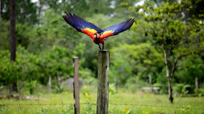 La Mosquitia: el destino más remoto de Honduras donde la selva aún marca el ritmo del viaje