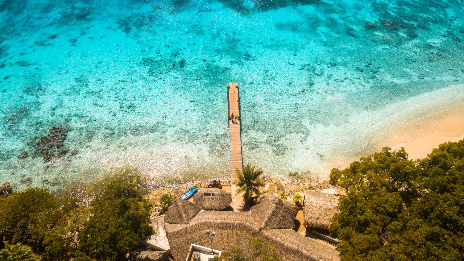 Curaçao North Sea Jazz Festival 2026: música, cultura y turismo se encuentran en el Caribe