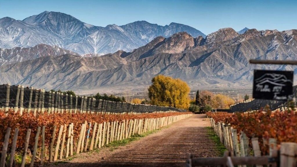 Vacaciones de invierno 2026: los destinos argentinos registraron una temporada con fuerte movimiento turístico