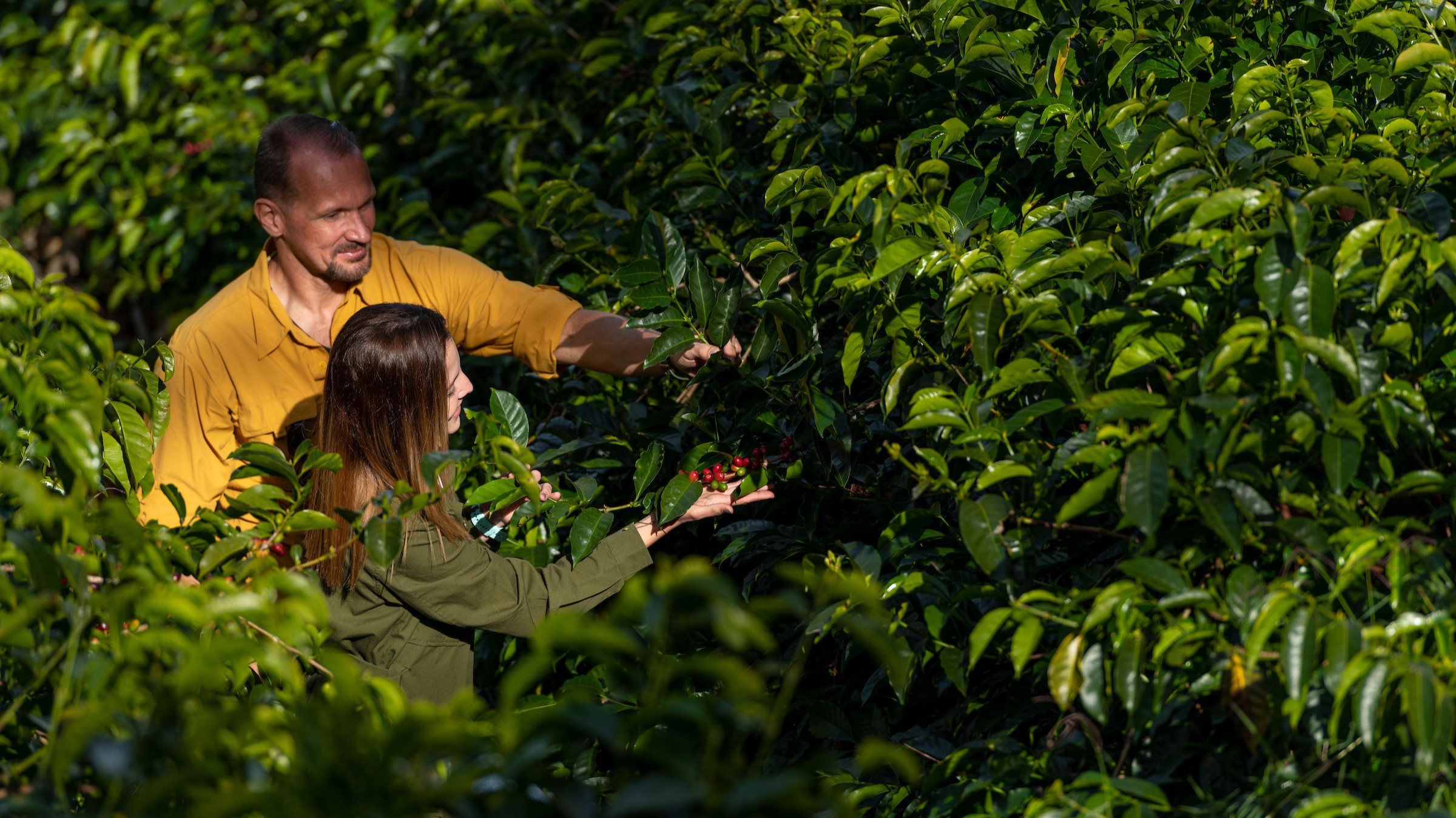 World of Coffee llega a Panamá: experiencia de café, naturaleza y gastronomía
