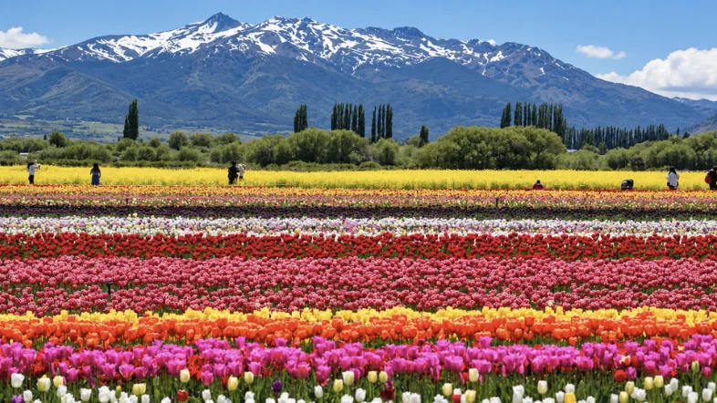 Fin de semana largo en Argentina: destinos para una escapada entre sierras, tulipanes y cataratas