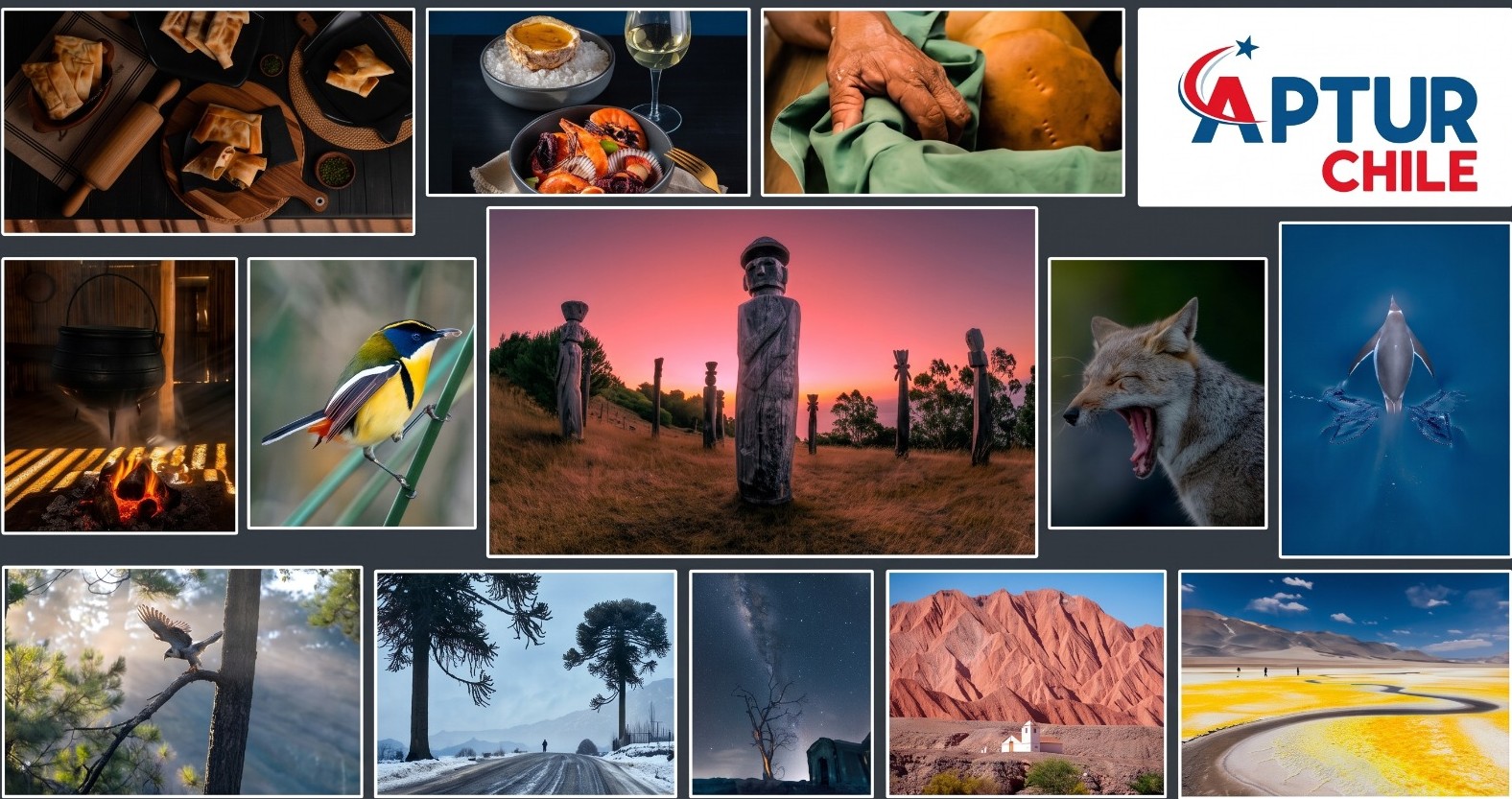 APTUR Chile abre la convocatoria para su X Concurso de Fotografía Turística